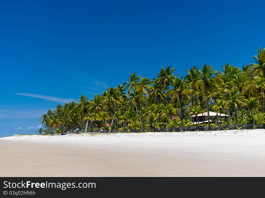 Beach with an abandoned house in the palm forest. Beach with an abandoned house in the palm forest.