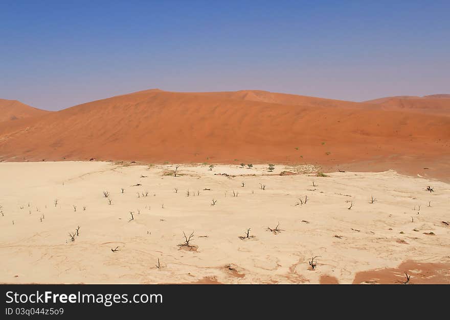 Sossusvlei dead valley landscape in the Nanib desert near Sesriem, Namibia. Sossusvlei dead valley landscape in the Nanib desert near Sesriem, Namibia