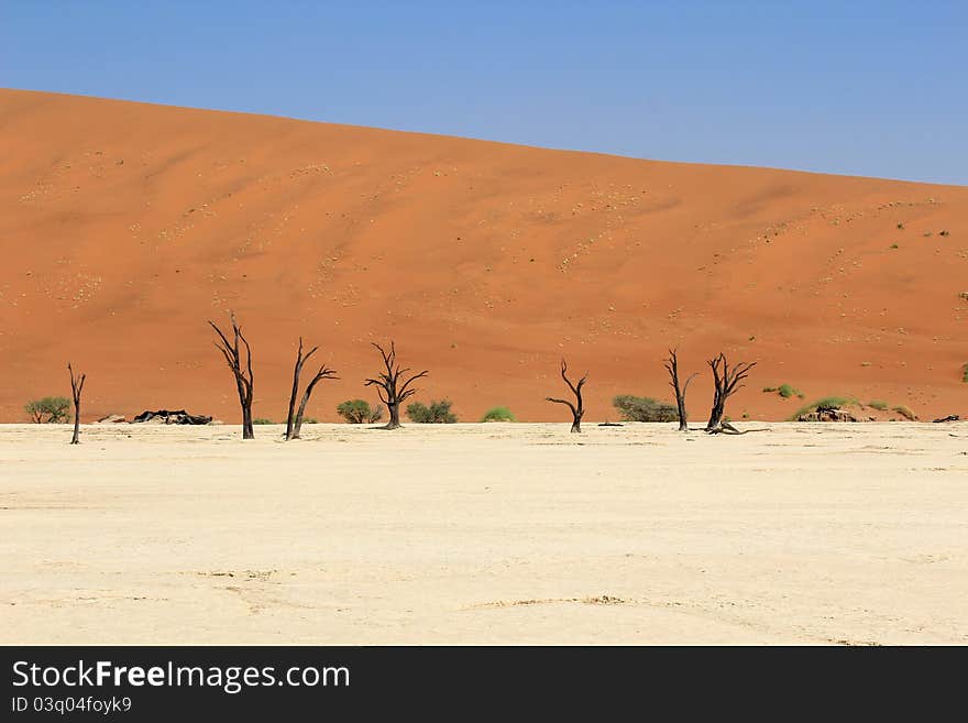 Sossusvlei dead valley landscape in the Nanib desert near Sesriem, Namibia. Sossusvlei dead valley landscape in the Nanib desert near Sesriem, Namibia