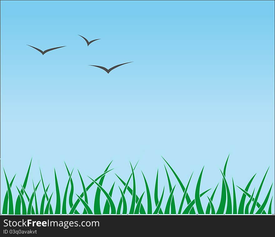 Grass and birds on blue sky. Grass and birds on blue sky