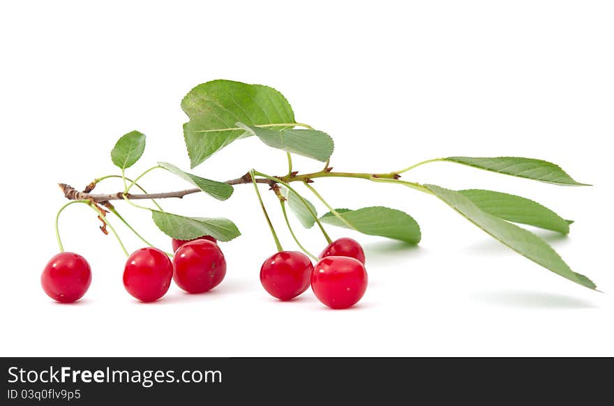 Cherry on a white background