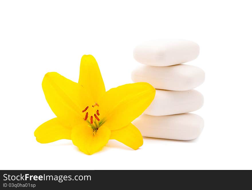 Lily and soap on a white background