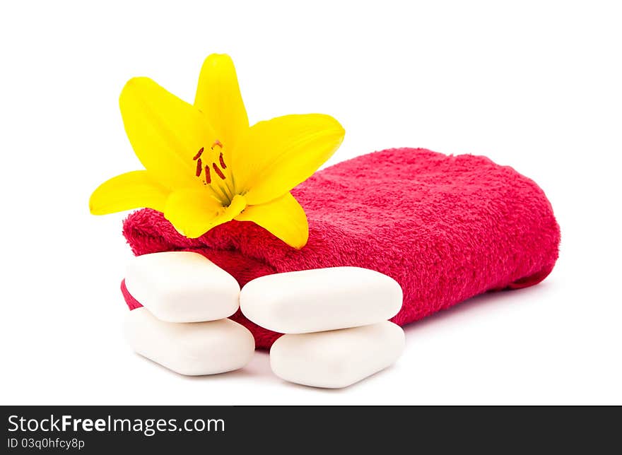 Lily and towel on a white background