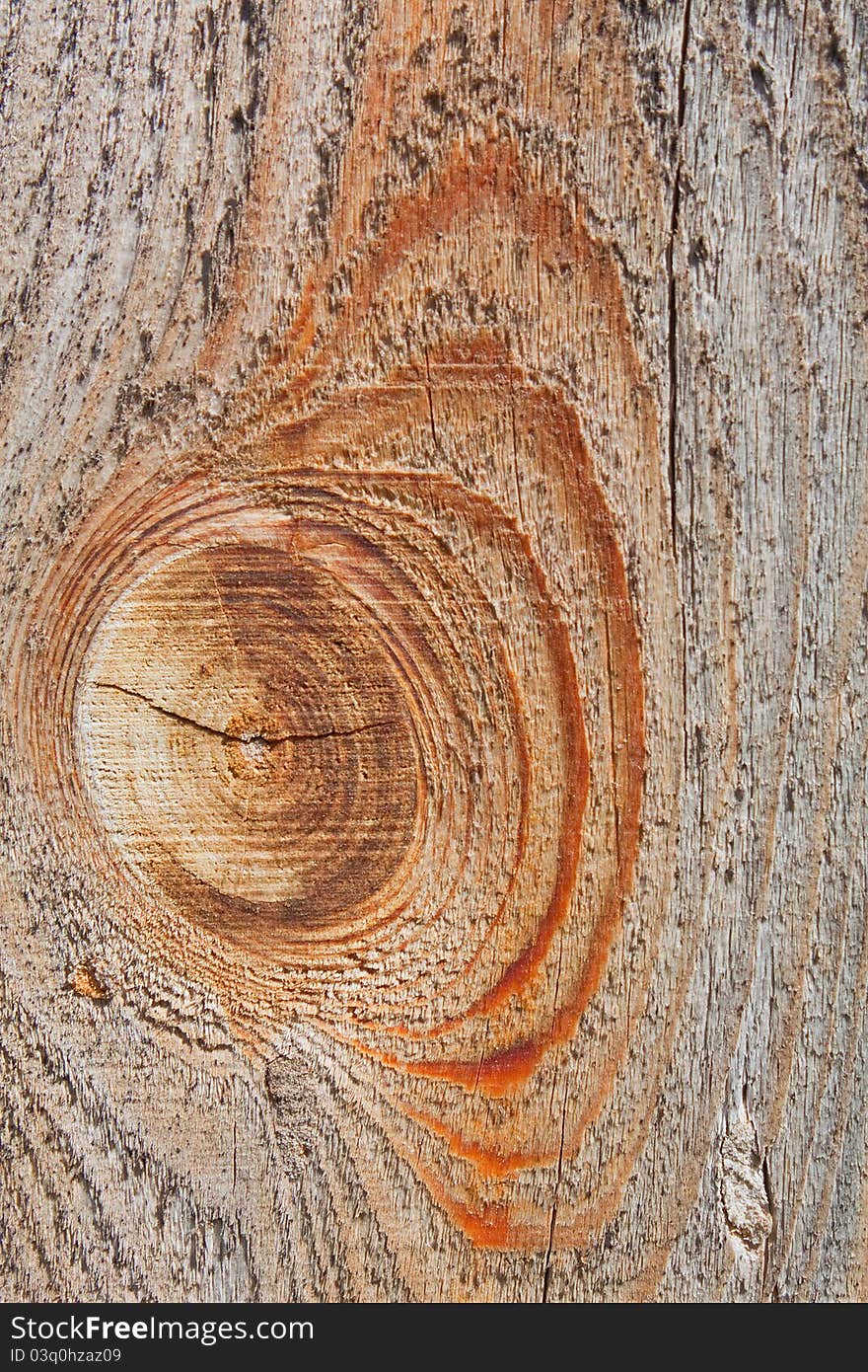 Old wooden texture close up