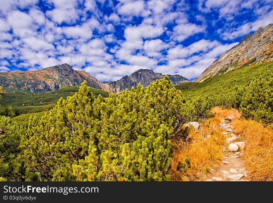 Mountain Trail