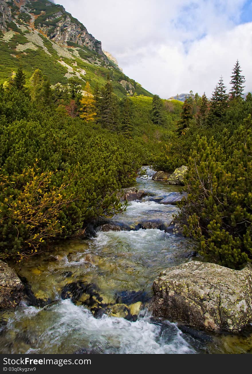 Mountain stream