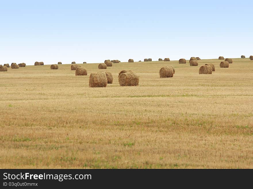 Rolls of dry straw at a big spacious field. Rolls of dry straw at a big spacious field