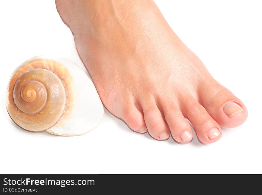 Feet and seashell on a white background