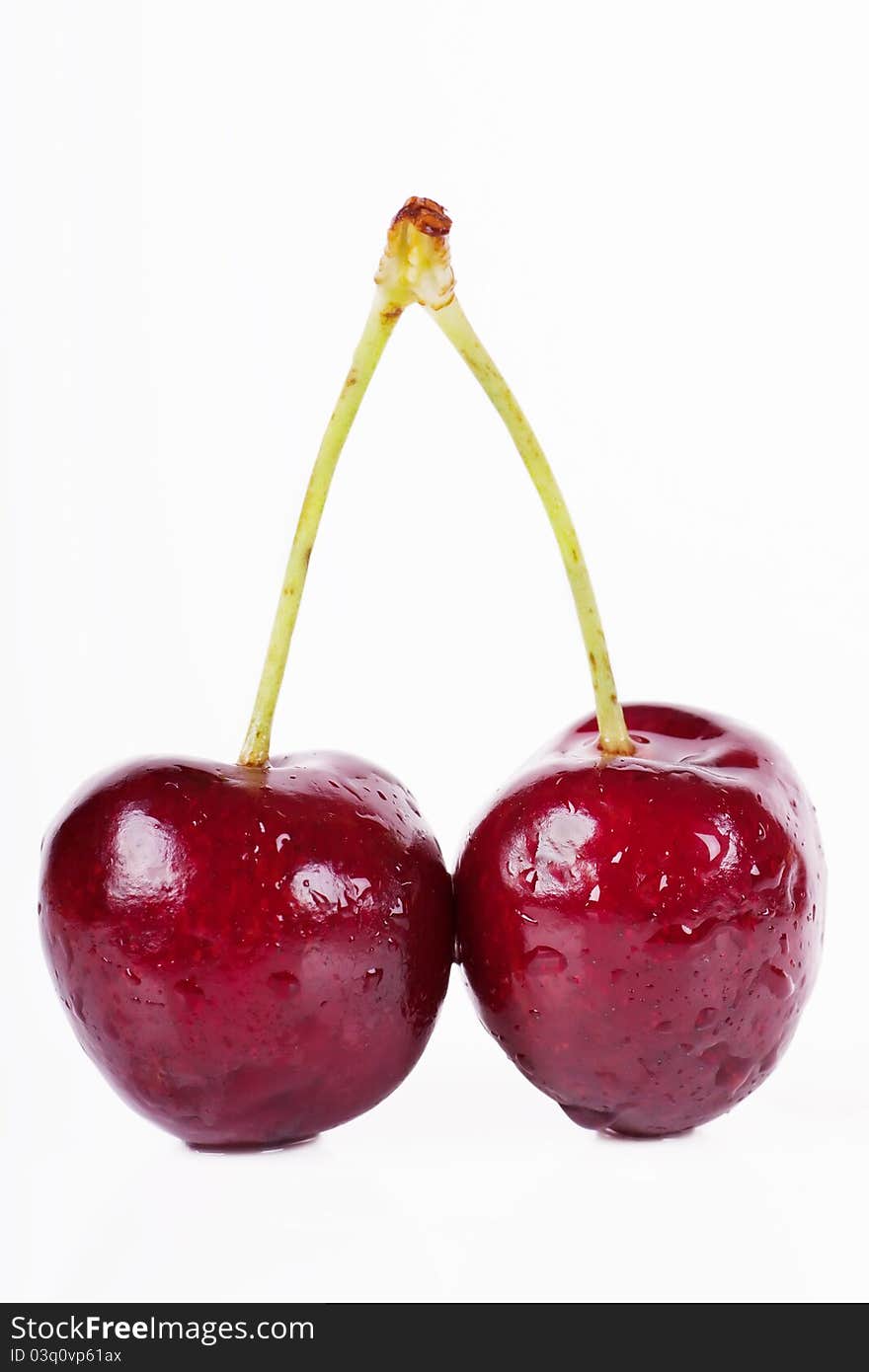 Close up view of pair of cherries over white background with soft shadows. Close up view of pair of cherries over white background with soft shadows