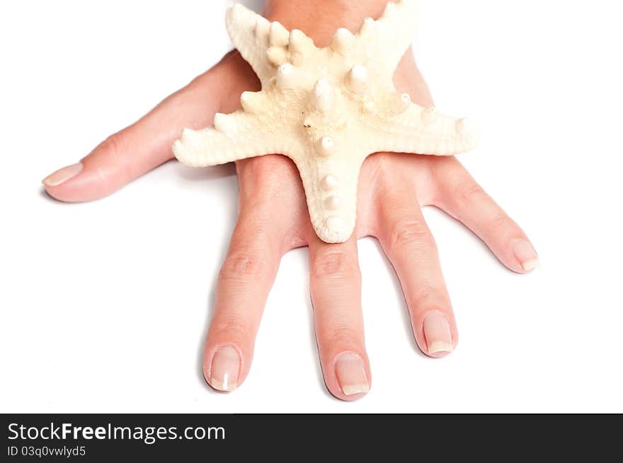 Hand and starfish on a white backround