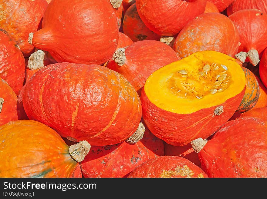 Colorful Pumpkins