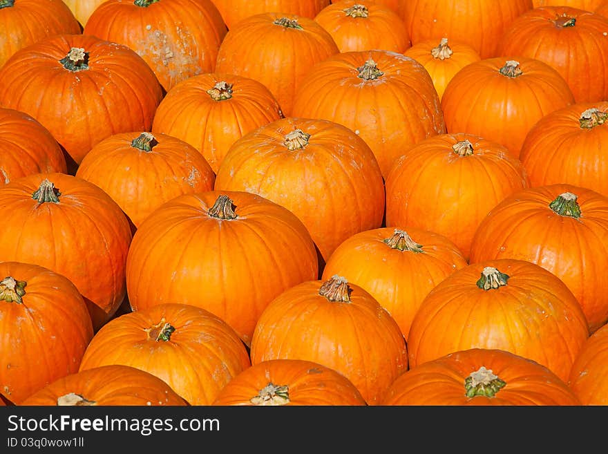 Colorful pumpkins