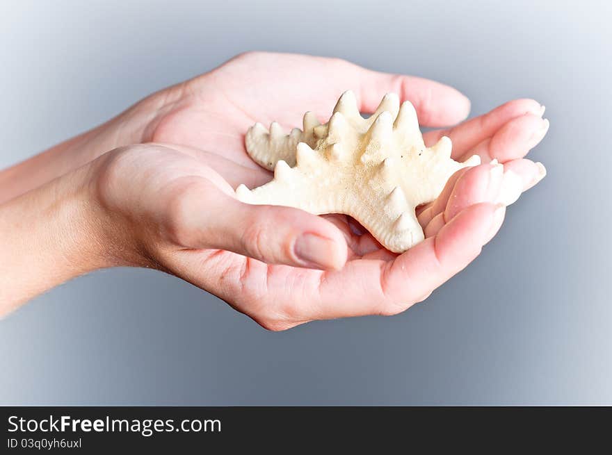 Open hands holding a starfish. Open hands holding a starfish