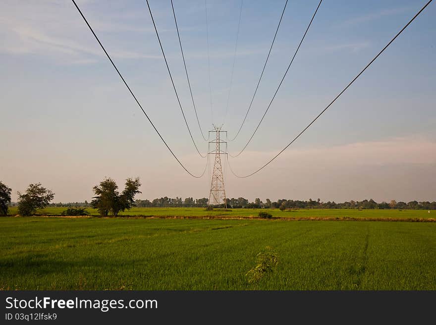 High voltage electric pole in green rice farm landscape