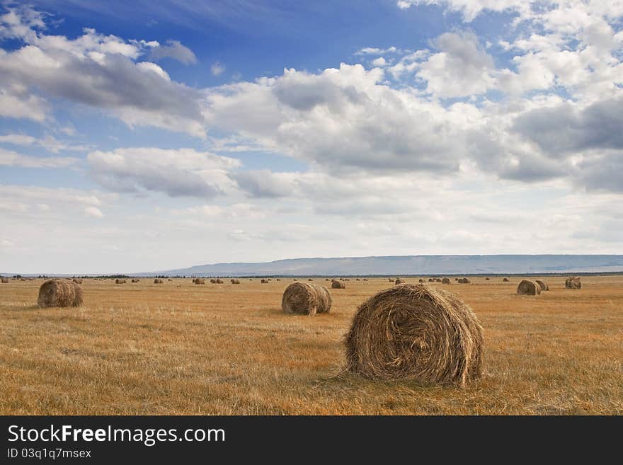 Stack of hay 2