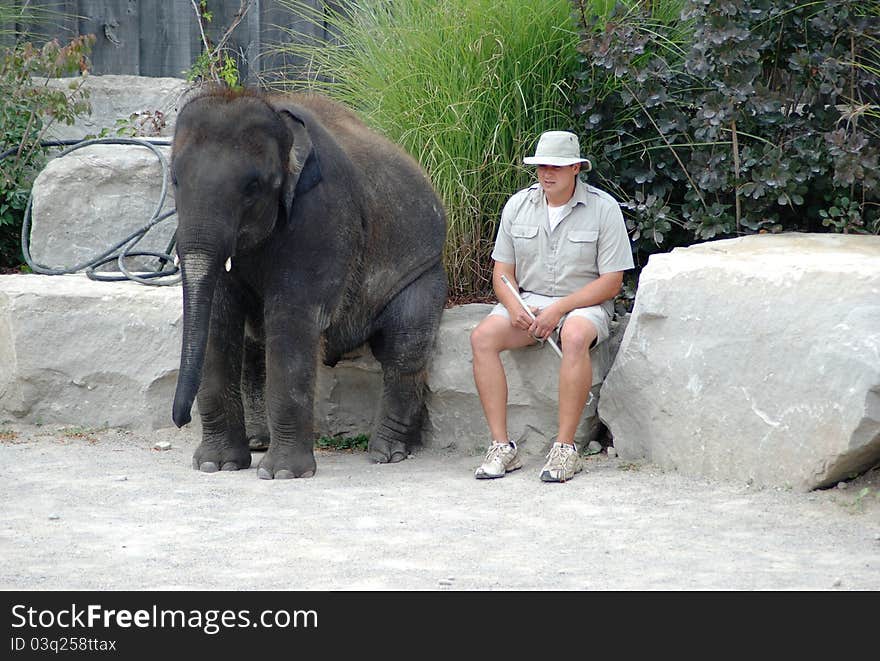 Elephant and his master