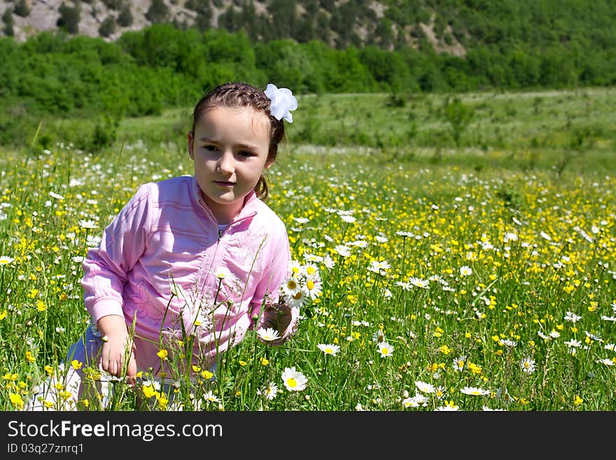 Little girl in a meadow with wild flowers