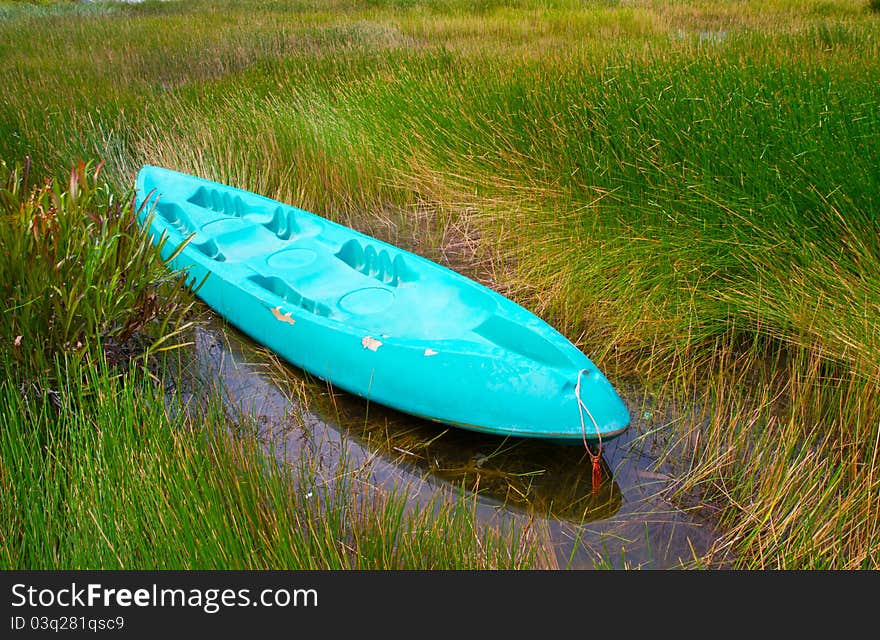 Blue kayak boat strand in the pond