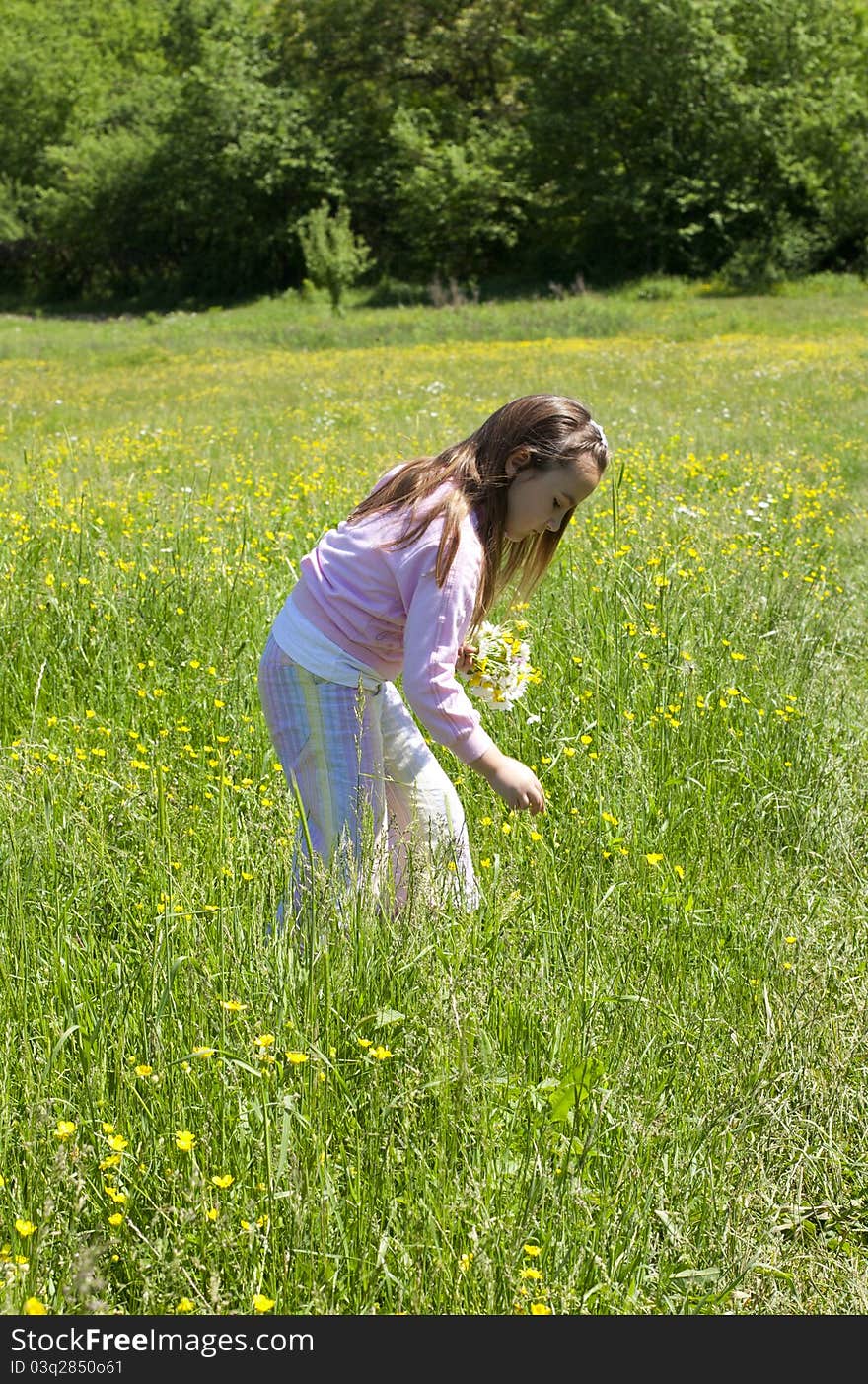 Little Girl In A Meadow