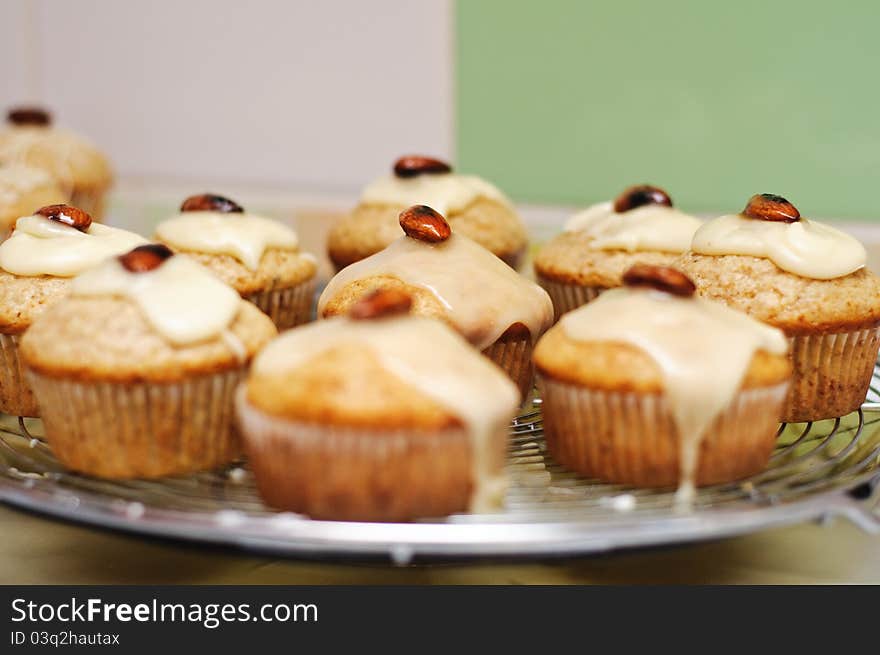 Gingerbread Muffins