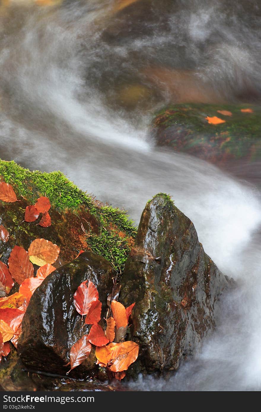 Autumn creek with coloured leaves on the boulder