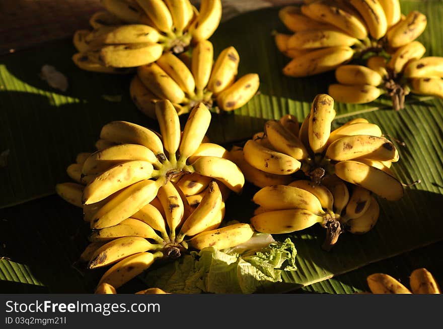 Banana Background Set Many Market