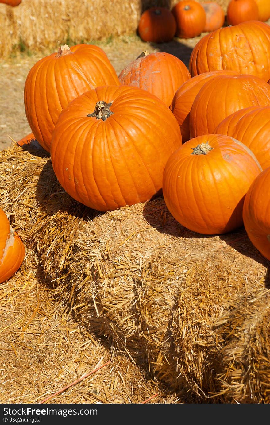 Bright Orange Pumpkins Stacked on Hay Bales