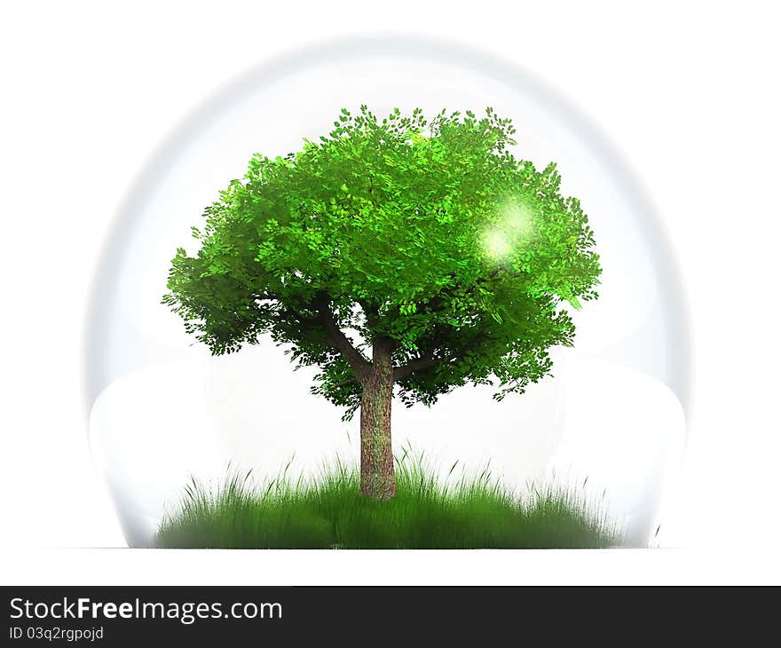 A green tree in a transparent bubble. A green tree in a transparent bubble