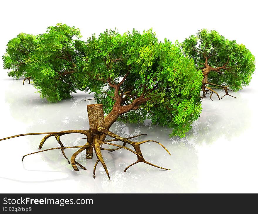 Cut many green trees on white background. Cut many green trees on white background