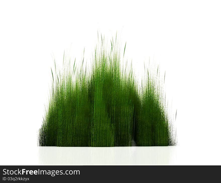 Concept of grass on a white background