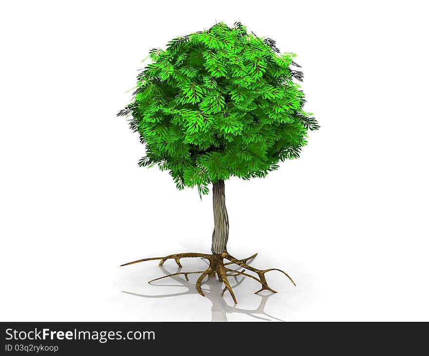 A green tree on white background