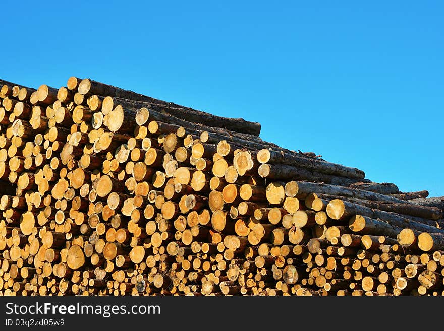 Heap of timber logs against blue sky