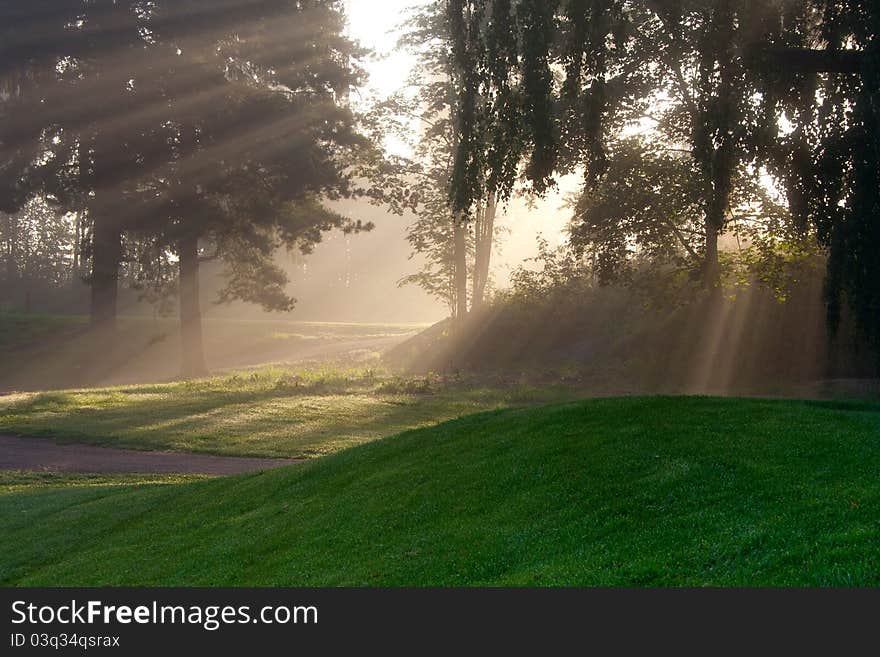 Sun beams in foggy park in summer morning. Sun beams in foggy park in summer morning