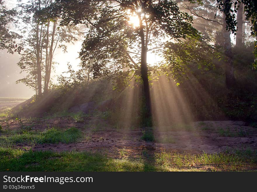 Sun beams in foggy morning