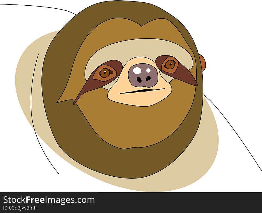 Illustrated cute brown sloth face