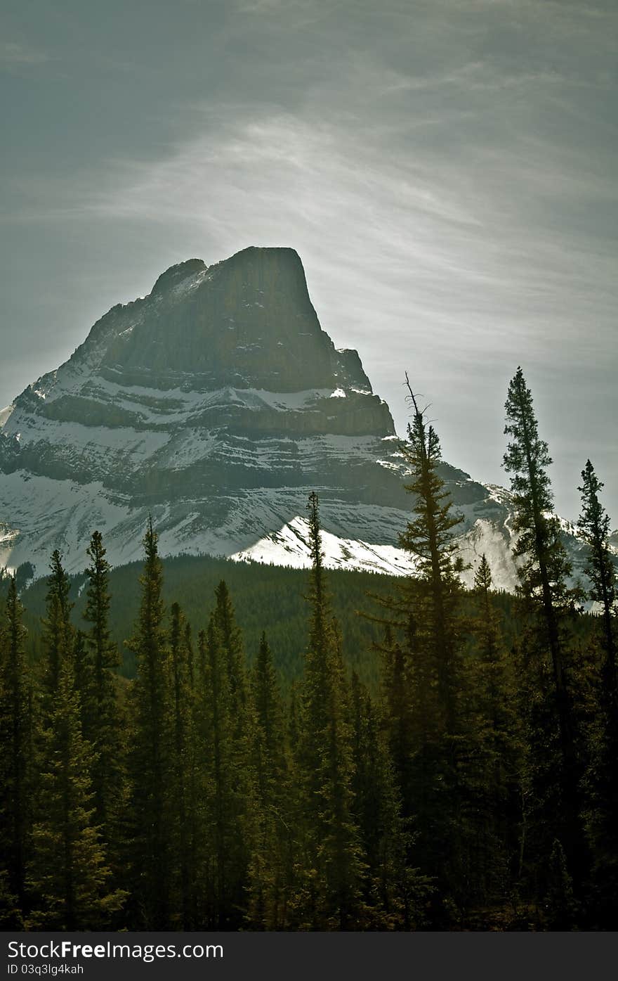 A Mountain in Jasper park with trees in the foreground. A Mountain in Jasper park with trees in the foreground.