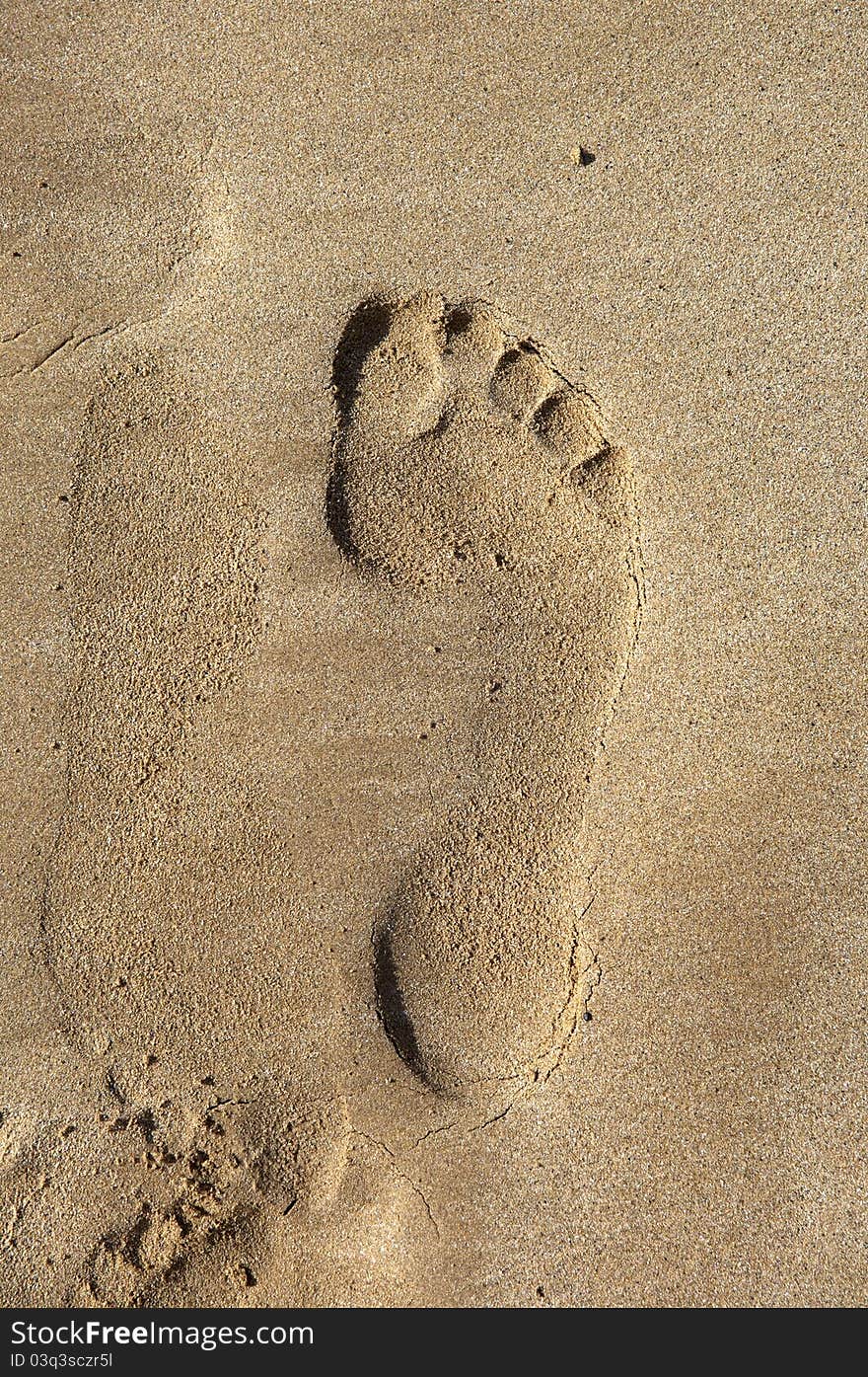 Man foot print on a sand beach