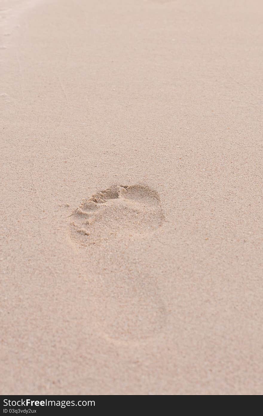 Single Man  Foot Print On A White Sand Beach