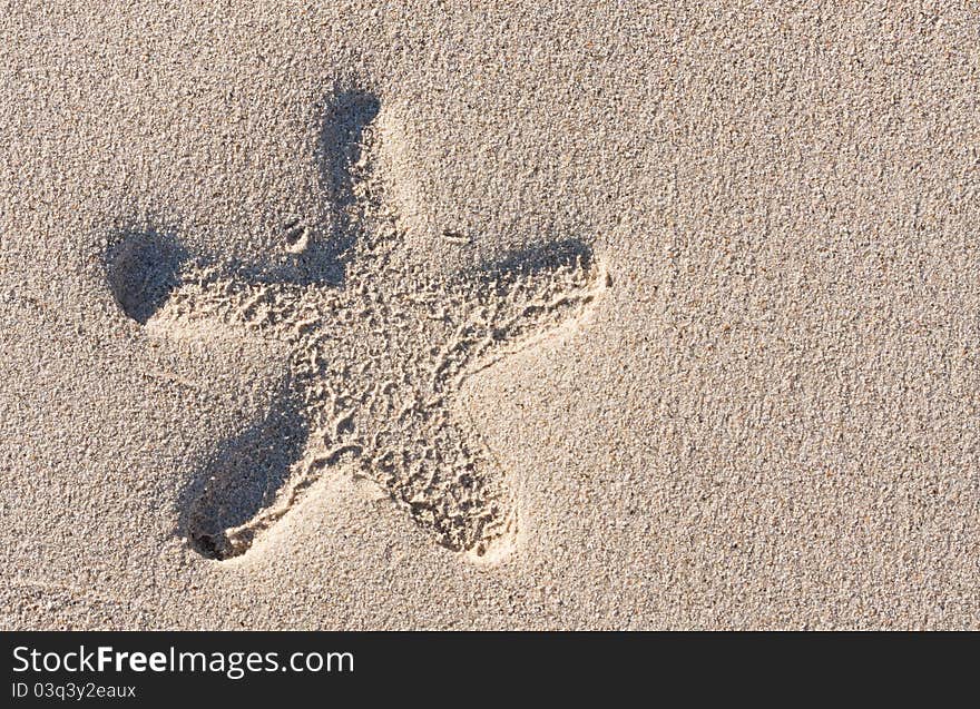 Starfish print on the beach