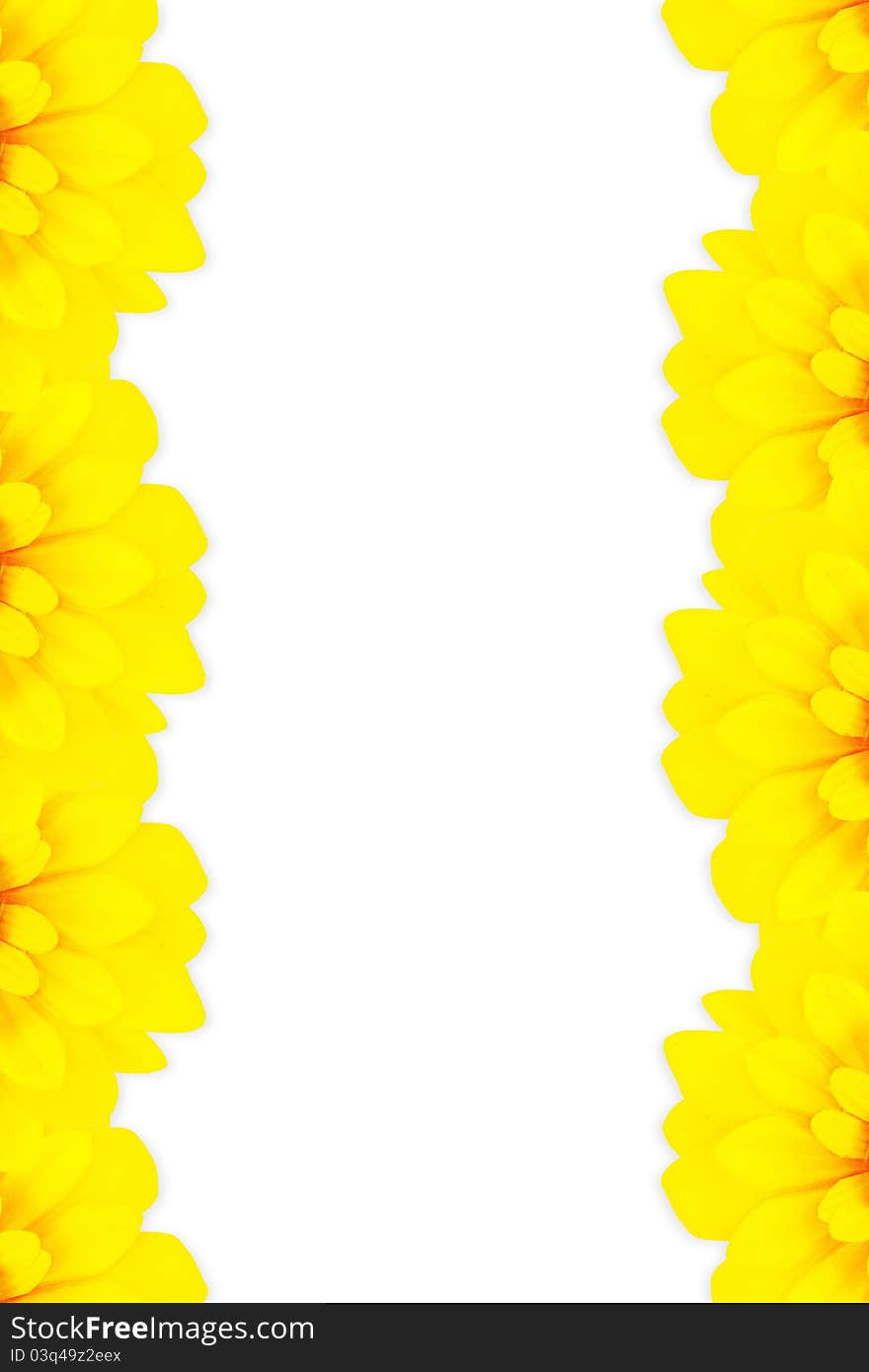 Sunflower frame vertical as background