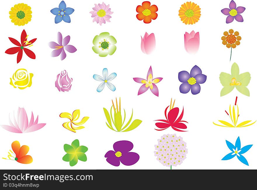 Illustration of flower collection for decoration and design