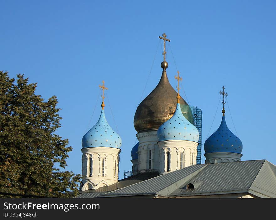 Domes Of The Novospassky  Monastery  In Moscow