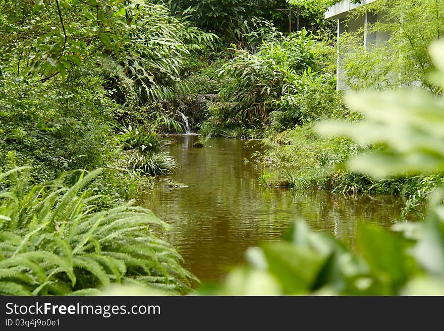 Green pond