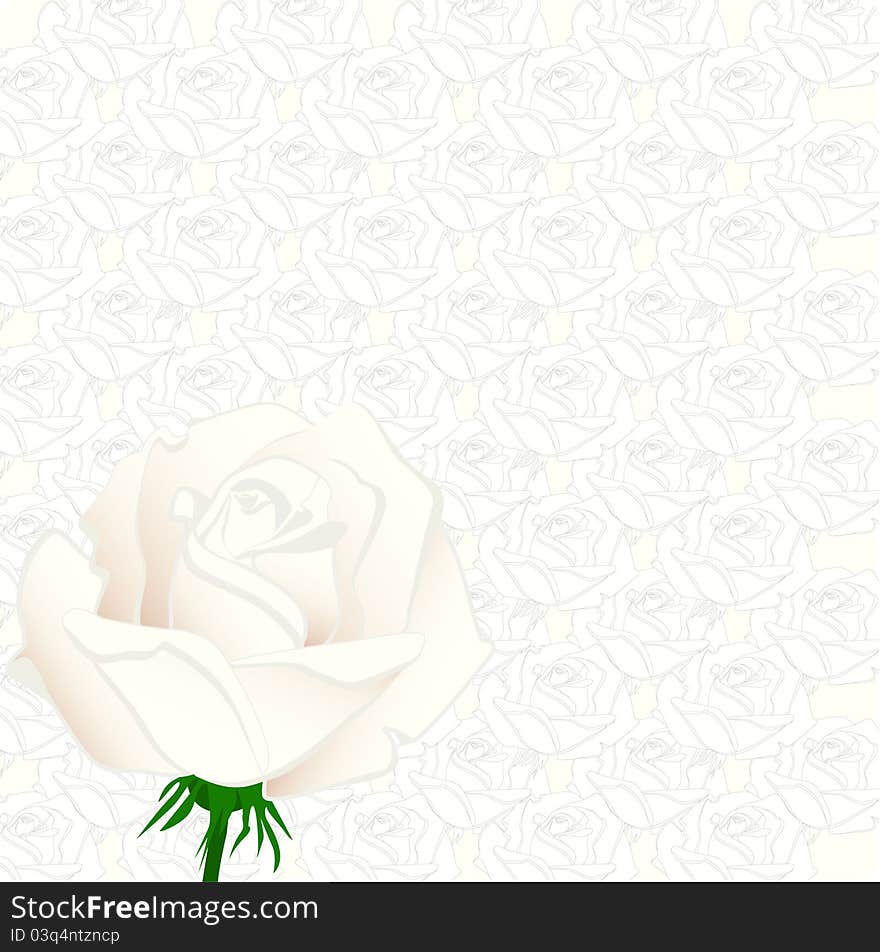 Abstract background with decorative rose. Abstract background with decorative rose