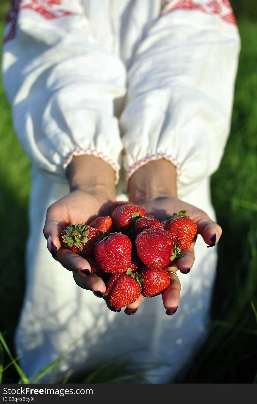 Handful of strawberries in hands