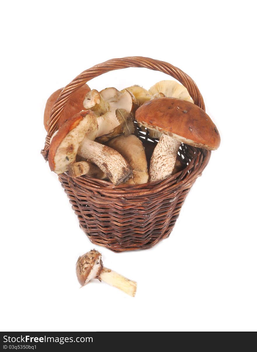 Mushrooms in a basket