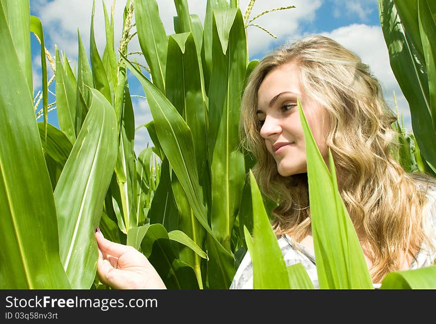 Beautiful young woman in a sweetcorn field