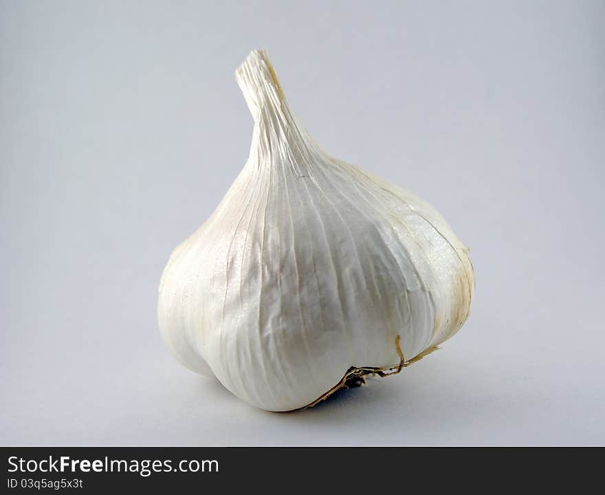 Garlic Bulb