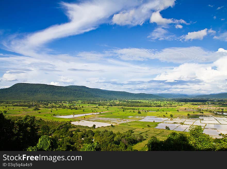 Paddy land in countryside of Thailand. Paddy land in countryside of Thailand