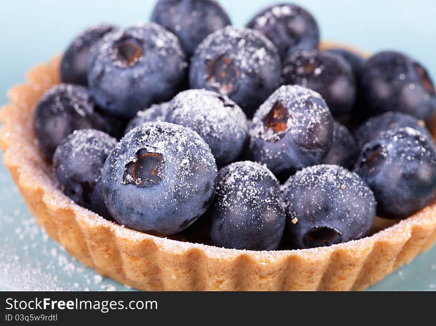 Blueberries tart on the blue background